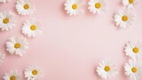 Minimal styled concept White daisy chamomile flowers on pale pink background Creative lifestyle Copy space flat lay top view 