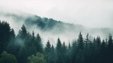 Fototapeta  - Misty landscape with fir forest in hipster vintage retro style 