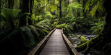 Fototapeta Las - Rustic wooden boardwalk leading to a secluded thermal spring, surrounded by lush ferns and moss