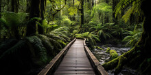 Rustic Wooden Boardwalk Leading To A Secluded Thermal Spring, Surrounded By Lush Ferns And Moss