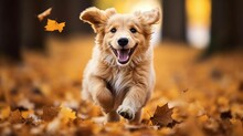 AI Generated Illustration Of A Labrador Puppy Running In Autumn Leaves In A Park