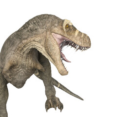 Canvas Print - tyrannosaurus rex is angry on close up side view