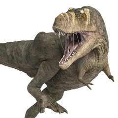 Wall Mural - tyrannosaurus rex is angry and is looking back on close up side view