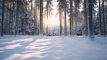 A Snow Covered Ground With A Forest In The Background And A Bright Light Coming From The Top 