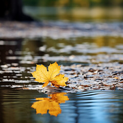 Wall Mural - The picture shows a delicate yellow leaf gently floating in clear water, creating a serene and visually captivating moment.