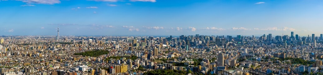 Wall Mural - Ultra Panoramic view of Greater Tokyo area at daytime.