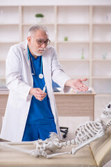 Wall Mural - Old male doctor and skeleton patient in the clinic