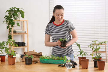 Canvas Print - Planting seedlings. Happy woman near wooden table with different plants in room