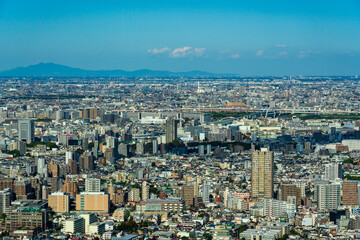 Wall Mural - High Dense houses and buildings at Greater Tokyo area at daytime.