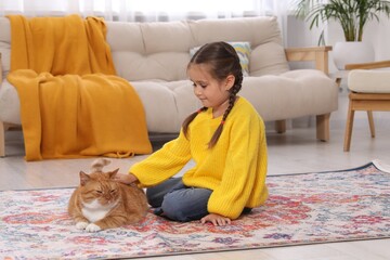 Sticker - Little girl petting cute ginger cat on carpet at home