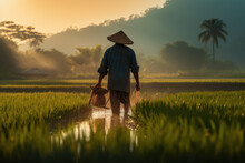 Asian Farmers Working At Rice Farm Fields And Harvesting Rice