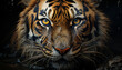 Majestic tiger, striped fur, fierce eyes, nature beauty in portrait generated by AI