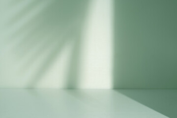Poster - minimalist room with wall and palm leaf shadow