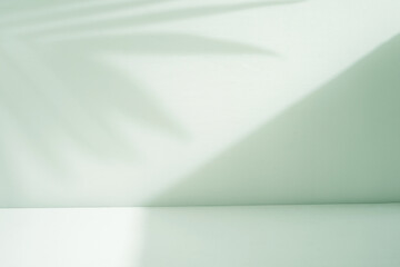 Poster - abstract green room with palm shadow background