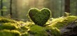 Closeup of wooden heart on moss. Natural burial grave in the woods.