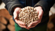 Natural wood pellet for heating in men's hands, bio fuel.
