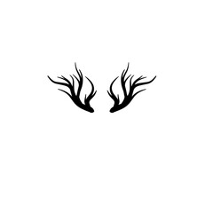 Wall Mural - silhouette of deer antlers