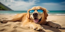 Golden Retriever Dog Is On Summer Vacation At Seaside Resort And Relaxing Rest On Summer Beach Of Hawaii.