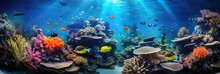 Vibrant Healthy Sunlit Coral Reef With Colorful Tropical Fish And Sea Life 