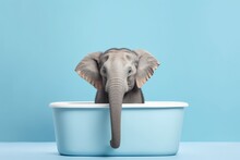 Funny And Cute Elephant Taking A Bath In A Bathtub. Isolated On A Blue Background.