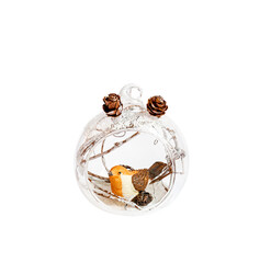 Wall Mural - transparent christmas ornament with bird inside on transparent background
