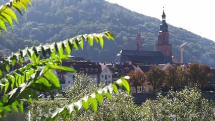 Poster - the historic german city of heidelberg video