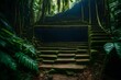 Hidden staircase deep in the Colombian Jungle belonging to the ruins of Ciudad Perdida
