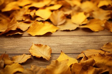 Wall Mural - Colorful foliage creates a vibrant autumnal backdrop. Sun flare, bokeh and wood provide texture and retro vibes. Macro shots showcase nature and provide design options.