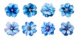 Collection of various blue flowers isolated on a transparent background