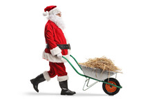 Santa Claus Walking And Pushing Hay In A Wheelbarrow