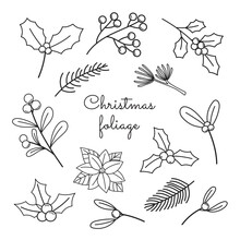 Christmas Foliage, Holly, Poinsettia, Mistletoe, And Fir. Winter Plants. Xmas Florals. Nature Botanical Elements. Coloring Page. Outline Flat Vector Illustration