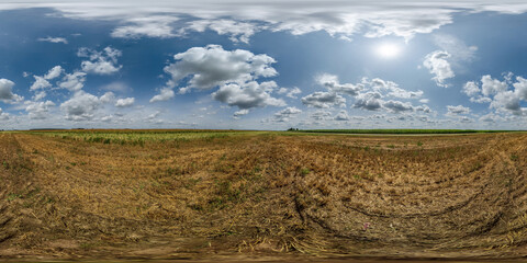 Wall Mural - spherical 360 hdri panorama among green grass farming field with storm clouds on blue sky in equirec