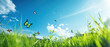 Young green juicy grass and fluttering butterflies in nature against blue spring sky with white clouds. Spring nature panorama.