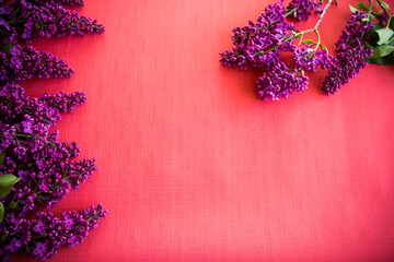 Wall Mural - The beautiful lilac on a wooden background