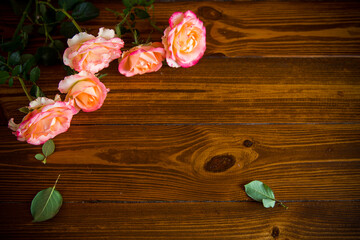 Sticker - Floral background of pink roses on a dark wooden