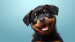 Realistic 3d render of a happy,  furry and cute baby Rottweiler smiling with big eyes looking strainght
