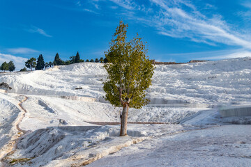 blue water pools in Pamukkale and the city in the background
Turkey