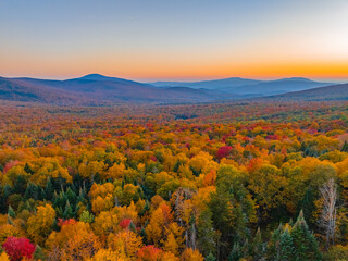 Wall Mural - landscape of autumn mountain forest and mountain range in mist