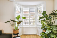 Living Room With Houseplants By Bay Window