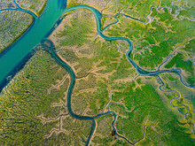 Blue River Channels Crisscrossing Expansive Green Marsh