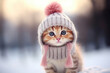 Kitten in a knitted woolen hat in winter
