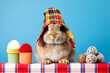 Studio portrait of a bunny or rabbit wearing knitted hat, scarf and mittens. Colorful winter and cold weather concept.