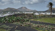 View of Yaiza on Lanzarote with volcano in the background and cactus in the foreground