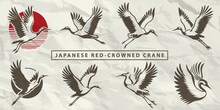 Collection Of Silhouettes: Japanese Red-crowned Cranes