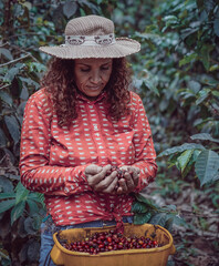 Wall Mural - Woman worker in coffee plantations