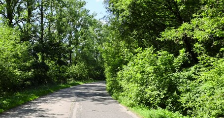 Wall Mural - narrow paved road in summer, paved road in sunny weather