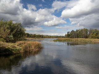 Wall Mural - beautiful autumn landscape scenery with colors water clouds trees and grass