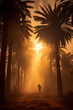 Silhouette of a man in the middle of a palm tree