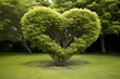 Heart-shaped tree, early summer, lawn. Generative AI