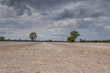 © Austockphoto - Landscape of dry fields and cloudy skies